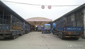 警惕！廢品運(yùn)輸雷區(qū) 違規(guī)載貨最高罰十萬(wàn)，安全合規(guī)方能行穩(wěn)致遠(yuǎn)