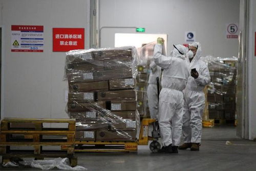 《公路、水路進(jìn)口冷鏈?zhǔn)称肺锪餍鹿诓《痉揽睾拖炯夹g(shù)指南（第四版）》印發(fā) 強(qiáng)化道路貨物運(yùn)輸環(huán)節(jié)防控